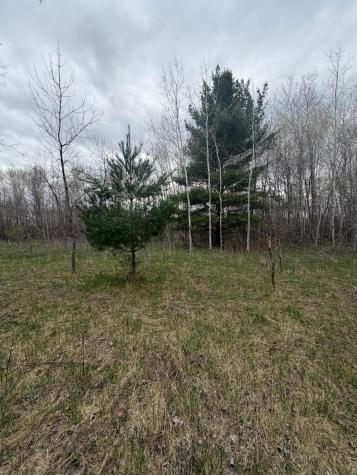 Tbd Ottawa Browerville MN 56438