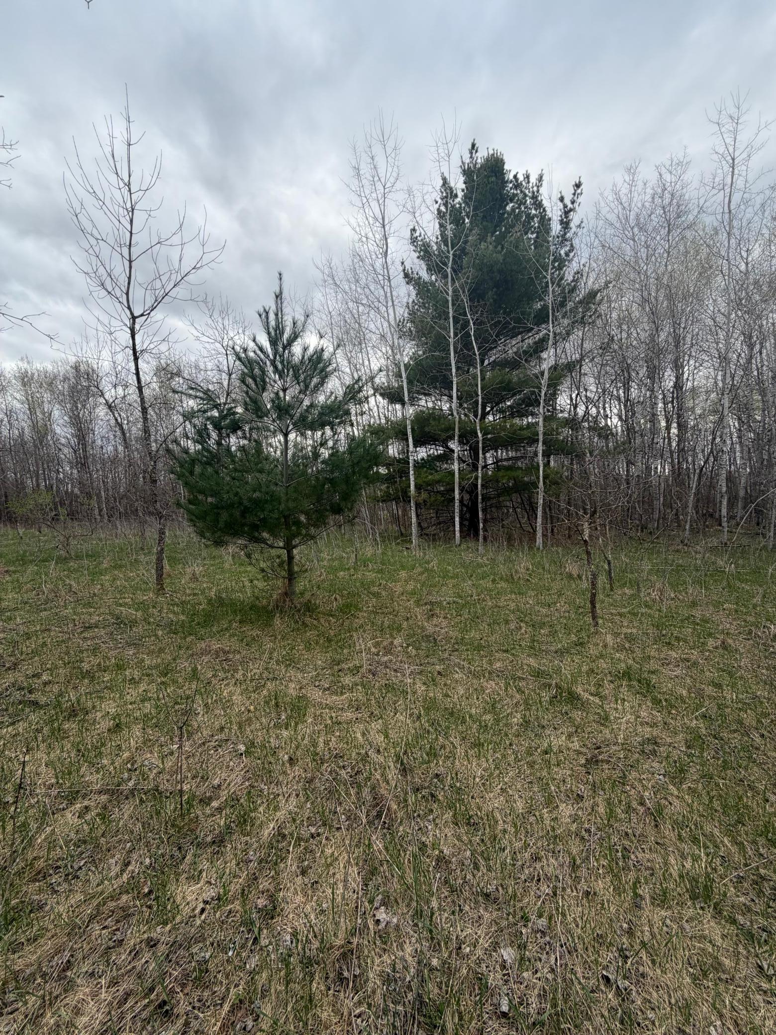 Tbd Ottawa Browerville MN 56438