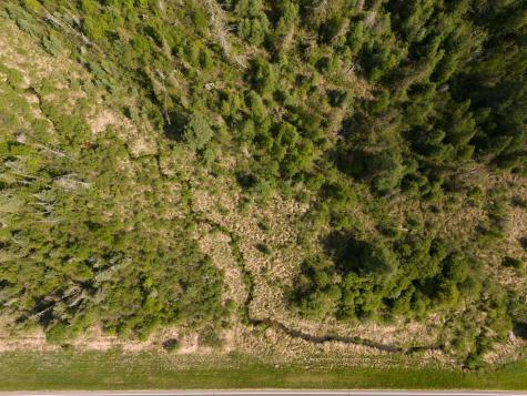 Tbd N Plantangenet Road SE Bemidji MN 56601