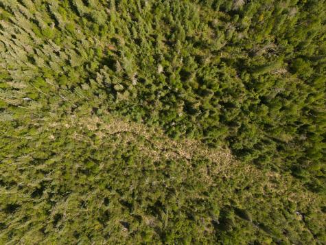 Tbd N Plantangenet Road SE Bemidji MN 56601