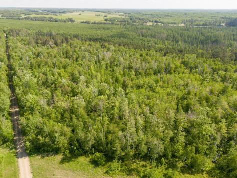 Tbd N Plantangenet Road SE Bemidji MN 56601