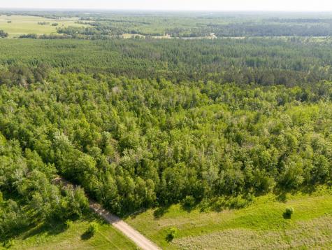 Tbd N Plantangenet Road SE Bemidji MN 56601