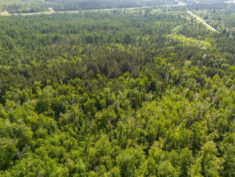 Tbd N Plantangenet Road SE Bemidji MN 56601