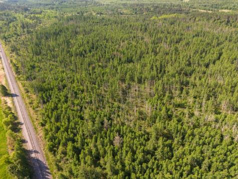 Tbd N Plantangenet Road SE Bemidji MN 56601