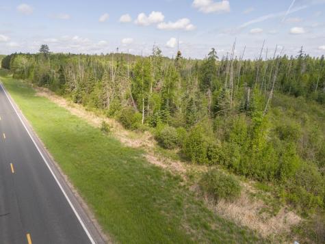 Tbd N Plantangenet Road SE Bemidji MN 56601