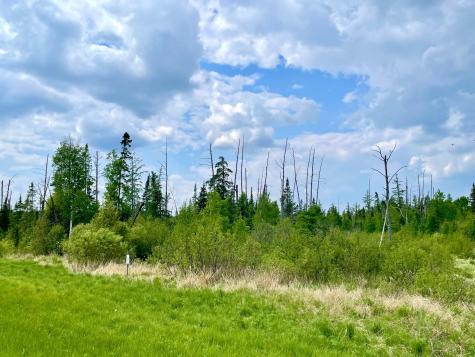 Tbd N Plantangenet Road SE Bemidji MN 56601