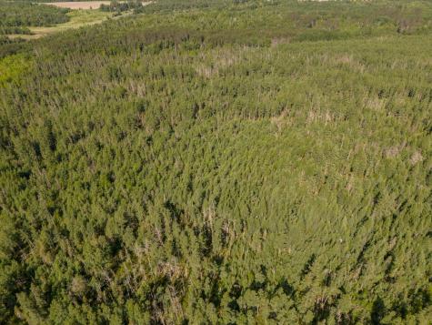 Tbd N Plantangenet Road SE Bemidji MN 56601