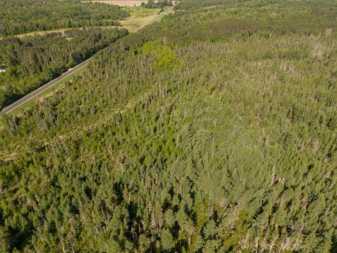 Tbd N Plantangenet Road SE Bemidji MN 56601