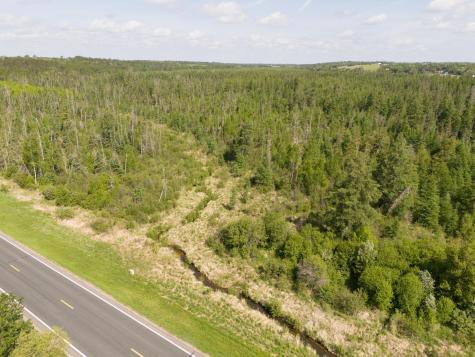 Tbd N Plantangenet Road SE Bemidji MN 56601