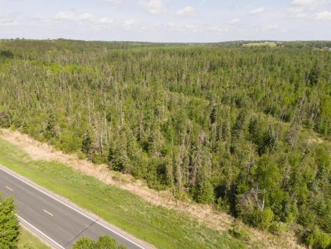Tbd N Plantangenet Road SE Bemidji MN 56601