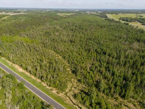 Tbd N Plantangenet Road SE Bemidji MN 56601