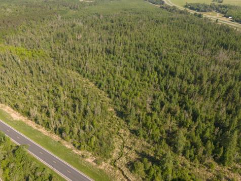 Tbd N Plantangenet Road SE Bemidji MN 56601