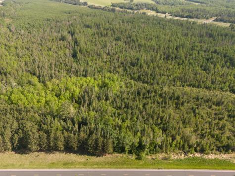 Tbd N Plantangenet Road SE Bemidji MN 56601
