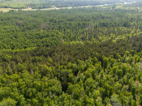 Tbd N Plantangenet Road SE Bemidji MN 56601