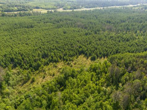 Tbd N Plantangenet Road SE Bemidji MN 56601