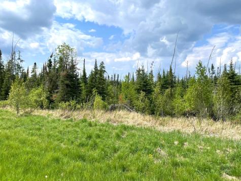 Tbd N Plantangenet Road SE Bemidji MN 56601