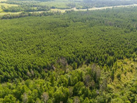 Tbd N Plantangenet Road SE Bemidji MN 56601