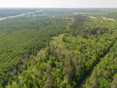 Tbd N Plantangenet Road SE Bemidji MN 56601