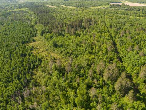 Tbd N Plantangenet Road SE Bemidji MN 56601