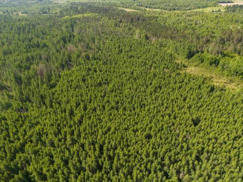 Tbd N Plantangenet Road SE Bemidji MN 56601