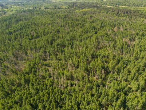 Tbd N Plantangenet Road SE Bemidji MN 56601