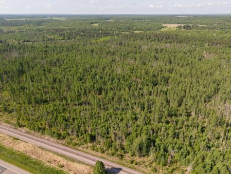 Tbd N Plantangenet Road SE Bemidji MN 56601