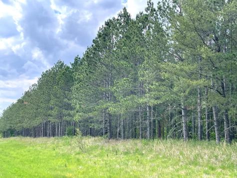 Tbd N Plantangenet Road SE Bemidji MN 56601