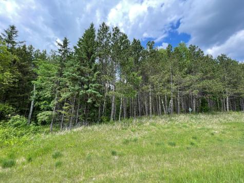 Tbd N Plantangenet Road SE Bemidji MN 56601