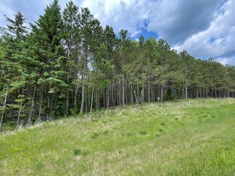 Tbd N Plantangenet Road SE Bemidji MN 56601