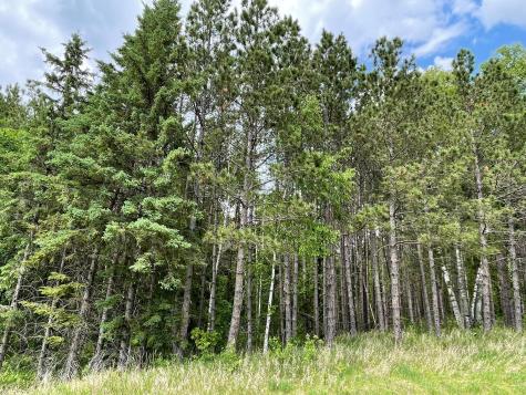 Tbd N Plantangenet Road SE Bemidji MN 56601