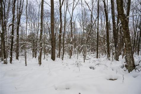 Block 4 Comet Road Exeland WI 54835