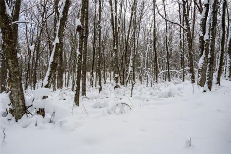 Block 4 Comet Road Exeland WI 54835