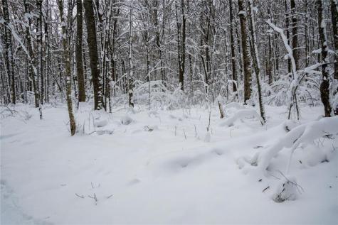 Block 4 Comet Road Exeland WI 54835