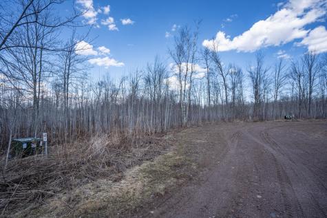 60XX Rycor Lane Lot 4 Duluth MN 55811