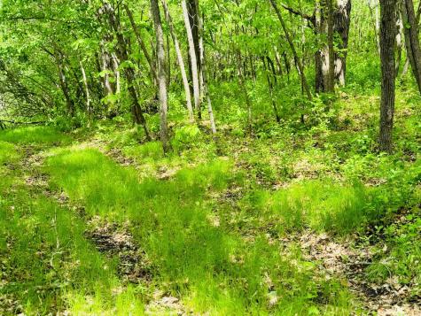 Lot 4 Canterbury Sands Trail Battle Lake MN 56515