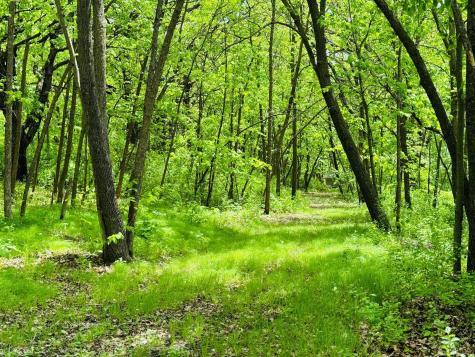 Lot 4 Canterbury Sands Trail Battle Lake MN 56515