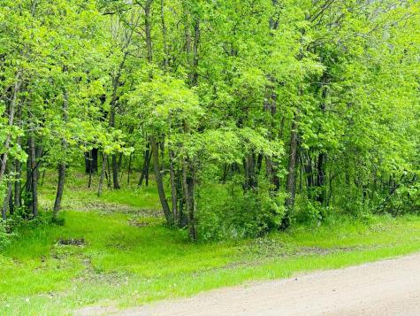 Lot 4 Canterbury Sands Trail Battle Lake MN 56515