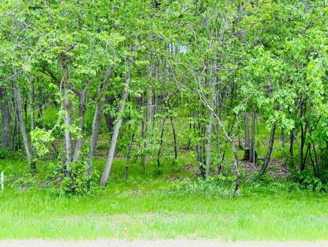 Lot 4 Canterbury Sands Trail Battle Lake MN 56515