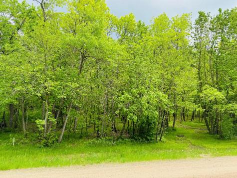 Lot 4 Canterbury Sands Trail Battle Lake MN 56515