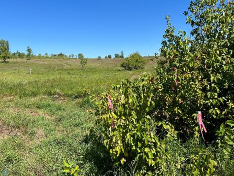 26203 154 Avenue S Barnesville MN 56514
