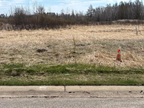 Lot 8 Irvine Avenue NW Bemidji MN 56601