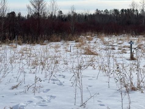 Lot 8 Irvine Avenue NW Bemidji MN 56601
