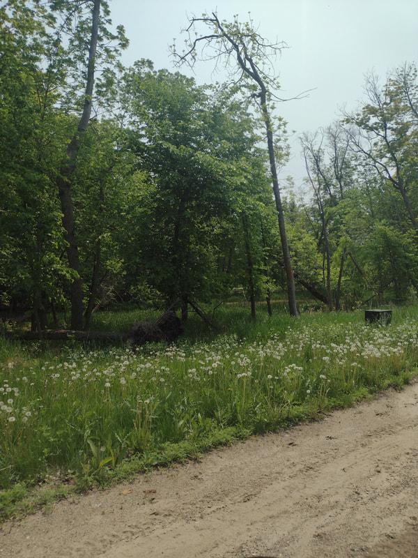 Lot 2 Block 3 Crystal Beach Road Pelican Rapids MN 56572