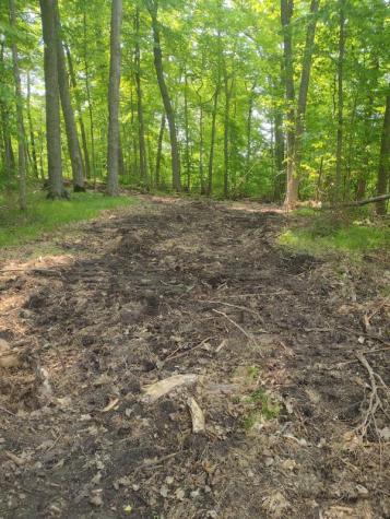 Lot 2 Block 3 Crystal Beach Road Pelican Rapids MN 56572