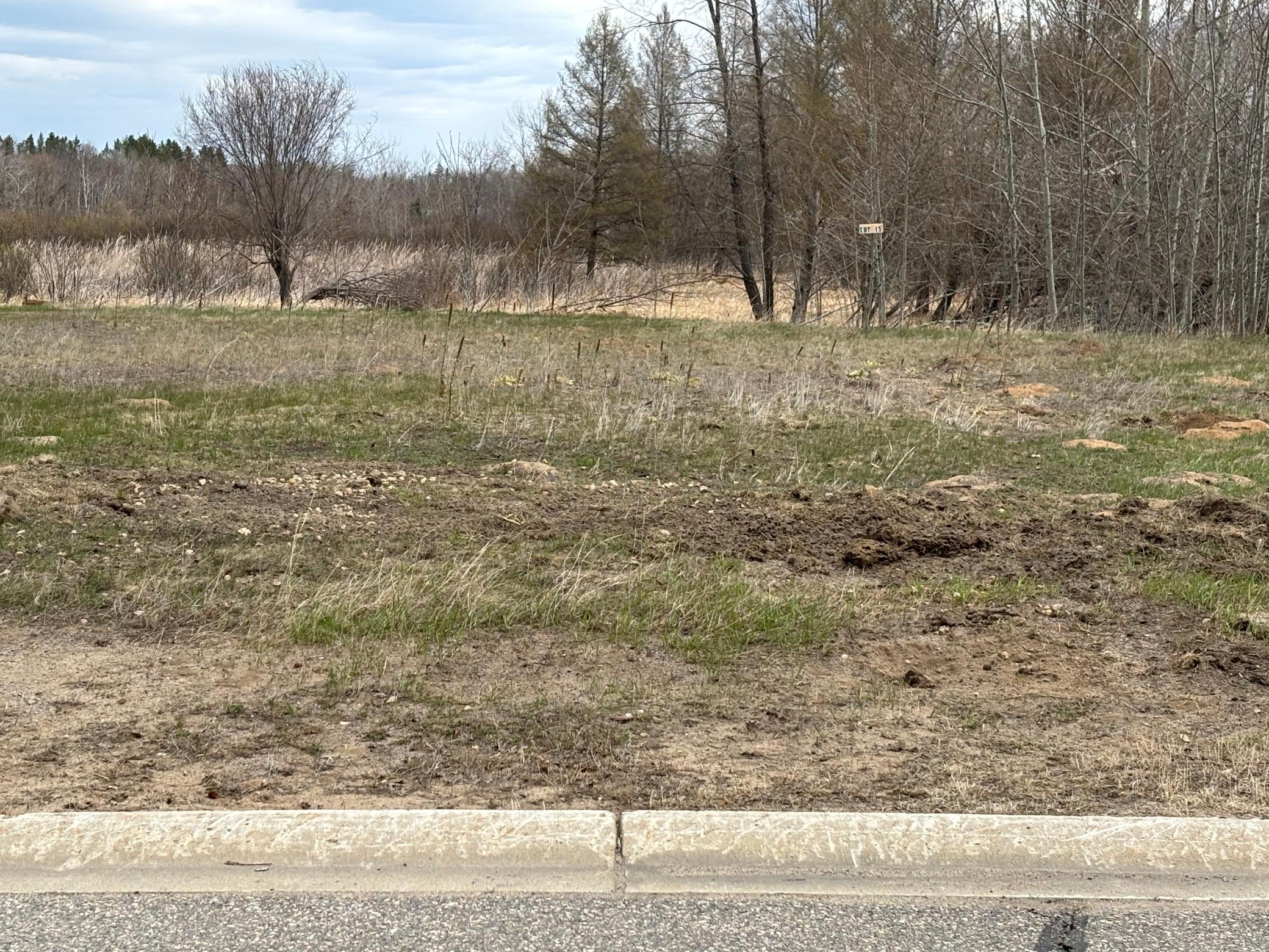Lot 13 Irvine Avenue NW Bemidji MN 56601