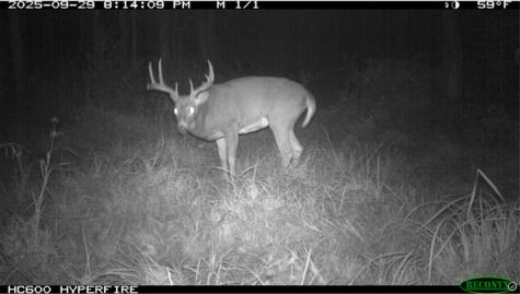 Tbd N State Road 40 Exeland WI 54835