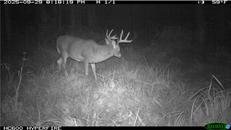 Tbd N State Road 40 Exeland WI 54835