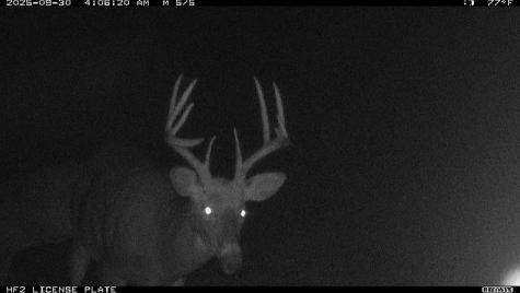 Tbd N State Road 40 Exeland WI 54835