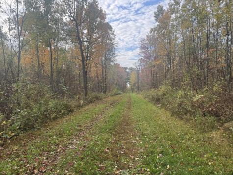 Tbd N State Road 40 Exeland WI 54835