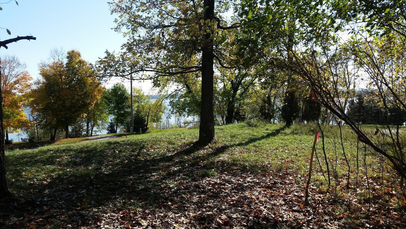 893 White Clover Beach Road Detroit Lakes MN 56501